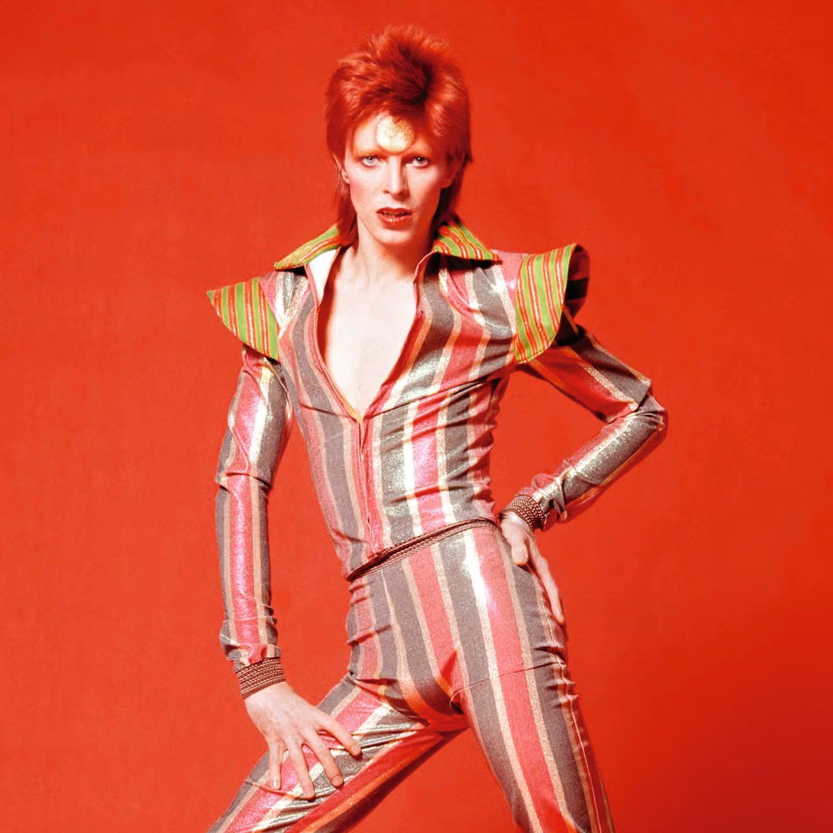 Ziggy: портрет и волосы
