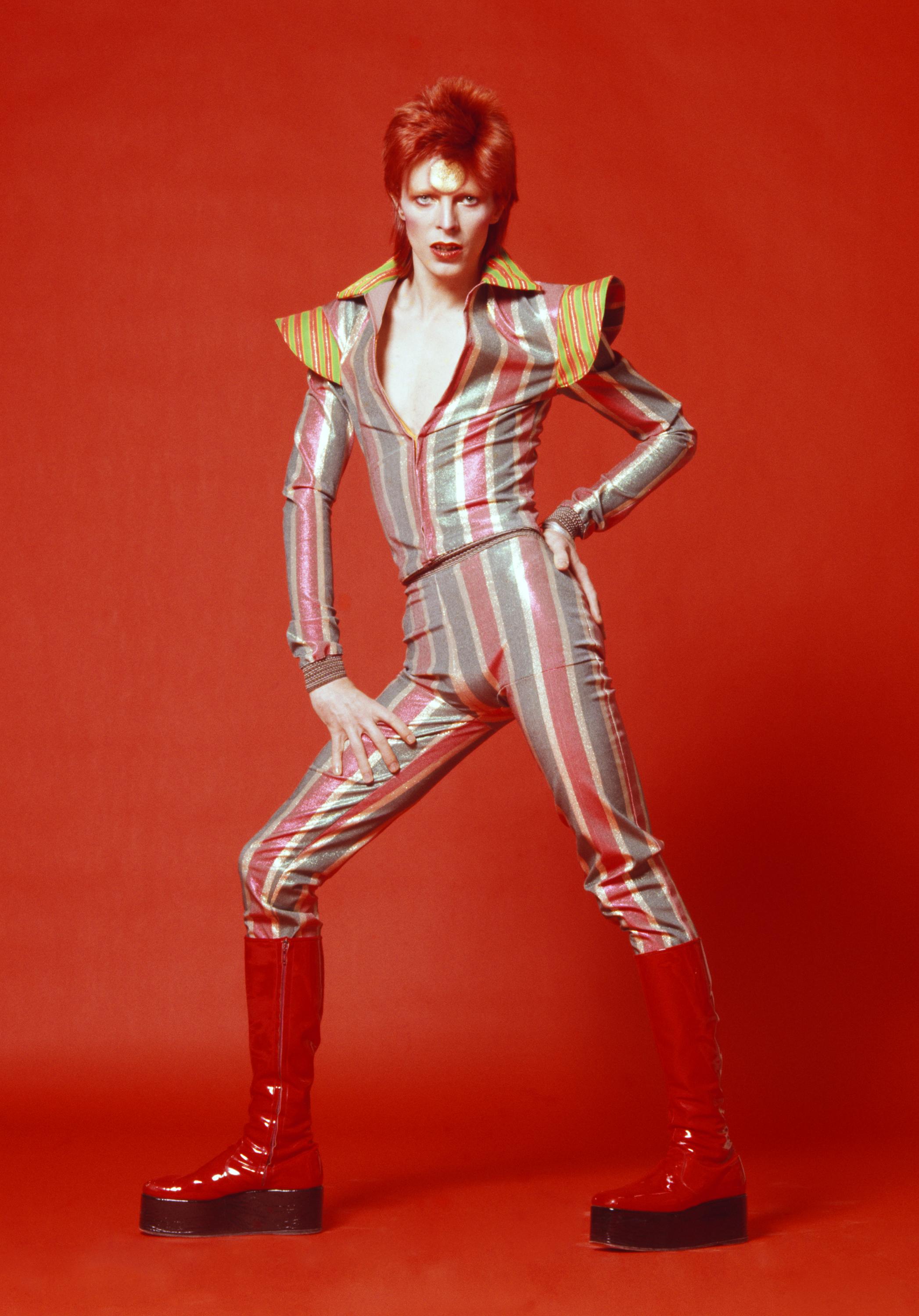 Ziggy: костюм целиком